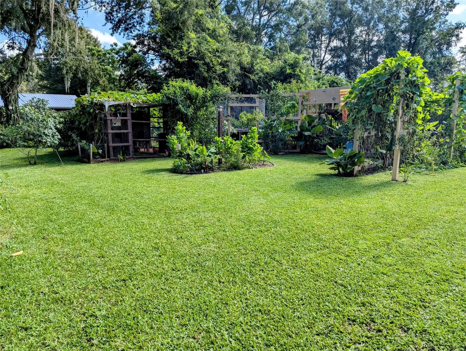 OCALA OAKS 02 - Residential