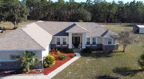 Tiny photo for 6081 W Pell Place, Dunnellon, FL 34433 (MLS # OM716140)