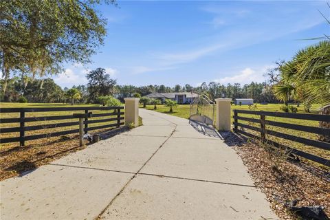 Tiny photo for 6081 W Pell Place, Dunnellon, FL 34433 (MLS # OM716140)