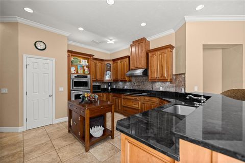 Tiny photo for 6081 W Pell Place, Dunnellon, FL 34433 (MLS # OM716140)