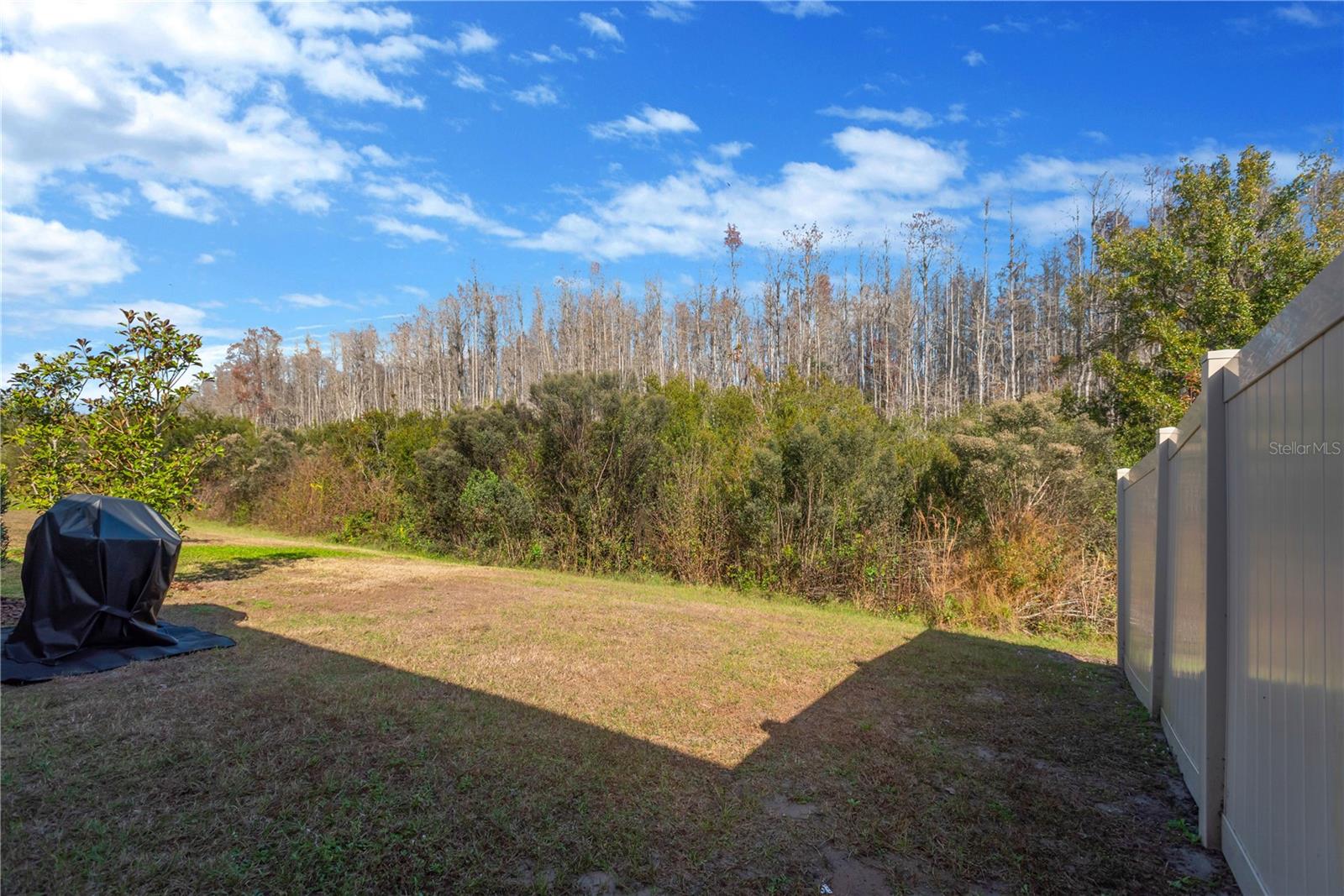 CYPRESS PRESERVE PH 3B 2B 3 & - Residential