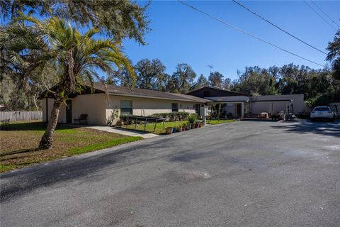 Photo of 5650 NW 219 Street, Micanopy, FL 32667 (MLS # GC527486)