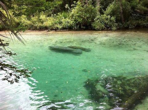 A home in WEEKI WACHEE