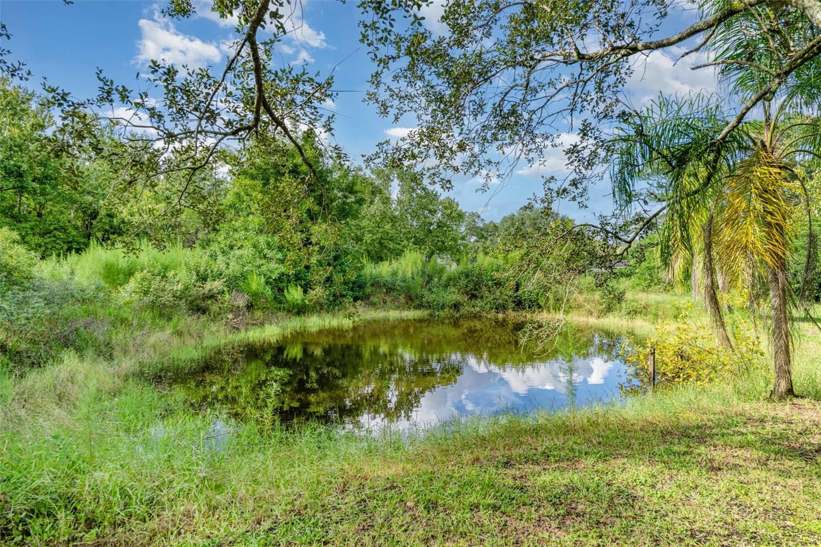 CANAVERAL GROVES SUB - Residential