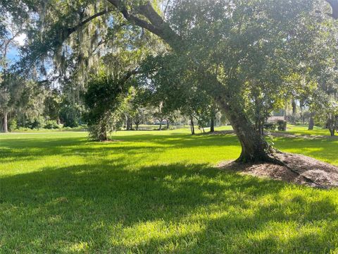 A home in WESLEY CHAPEL