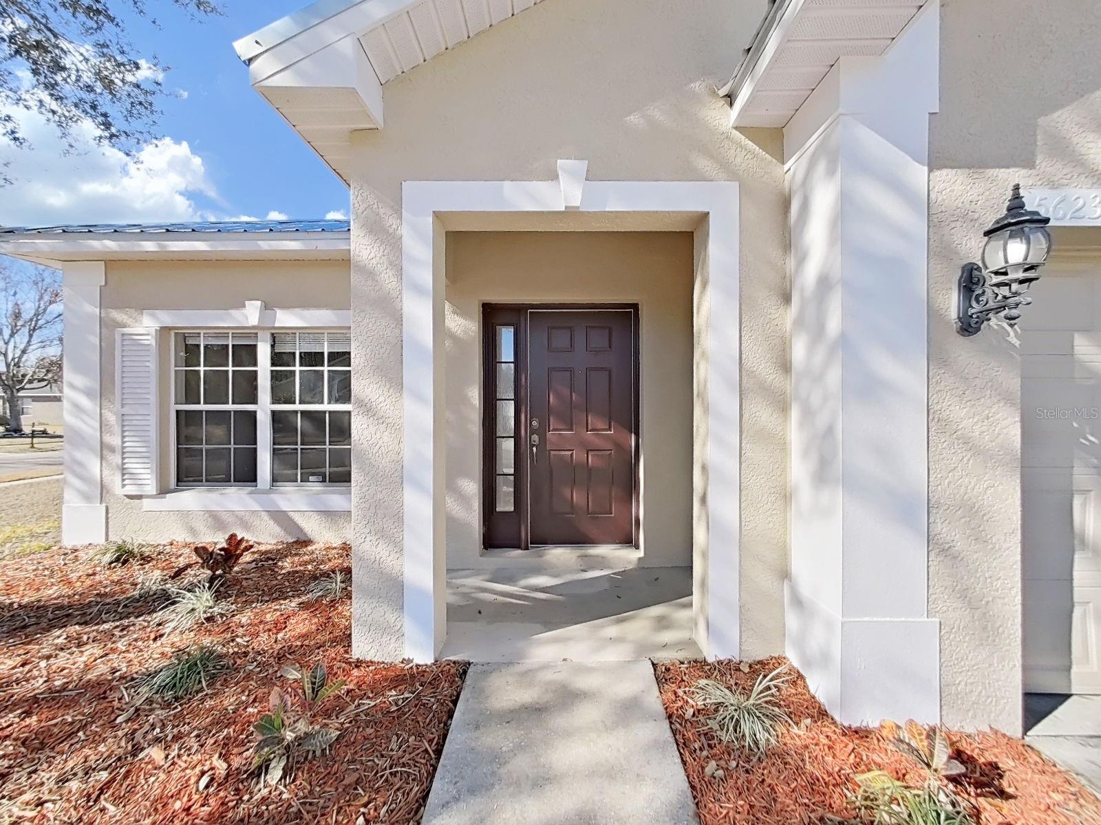 5623 SHEER BLISS LOOP