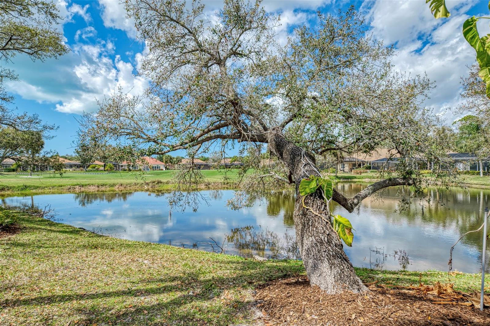 BOCA ROYALE - Residential