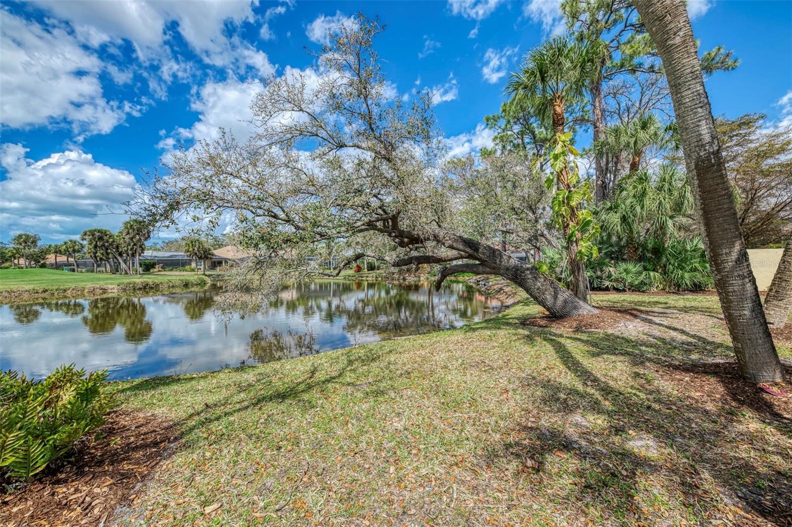 BOCA ROYALE - Residential