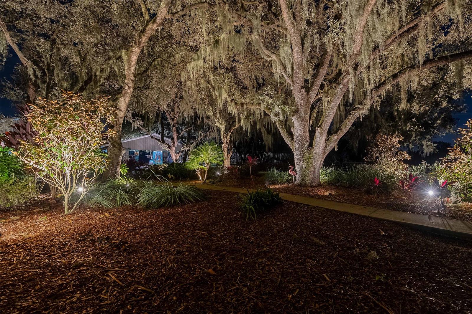 MAMMOTH GROVE SEC 31 - Residential