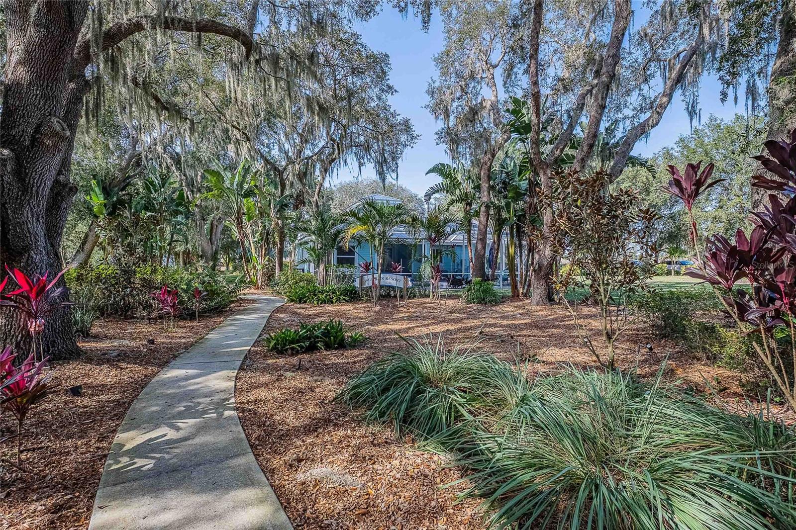 MAMMOTH GROVE SEC 31 - Residential