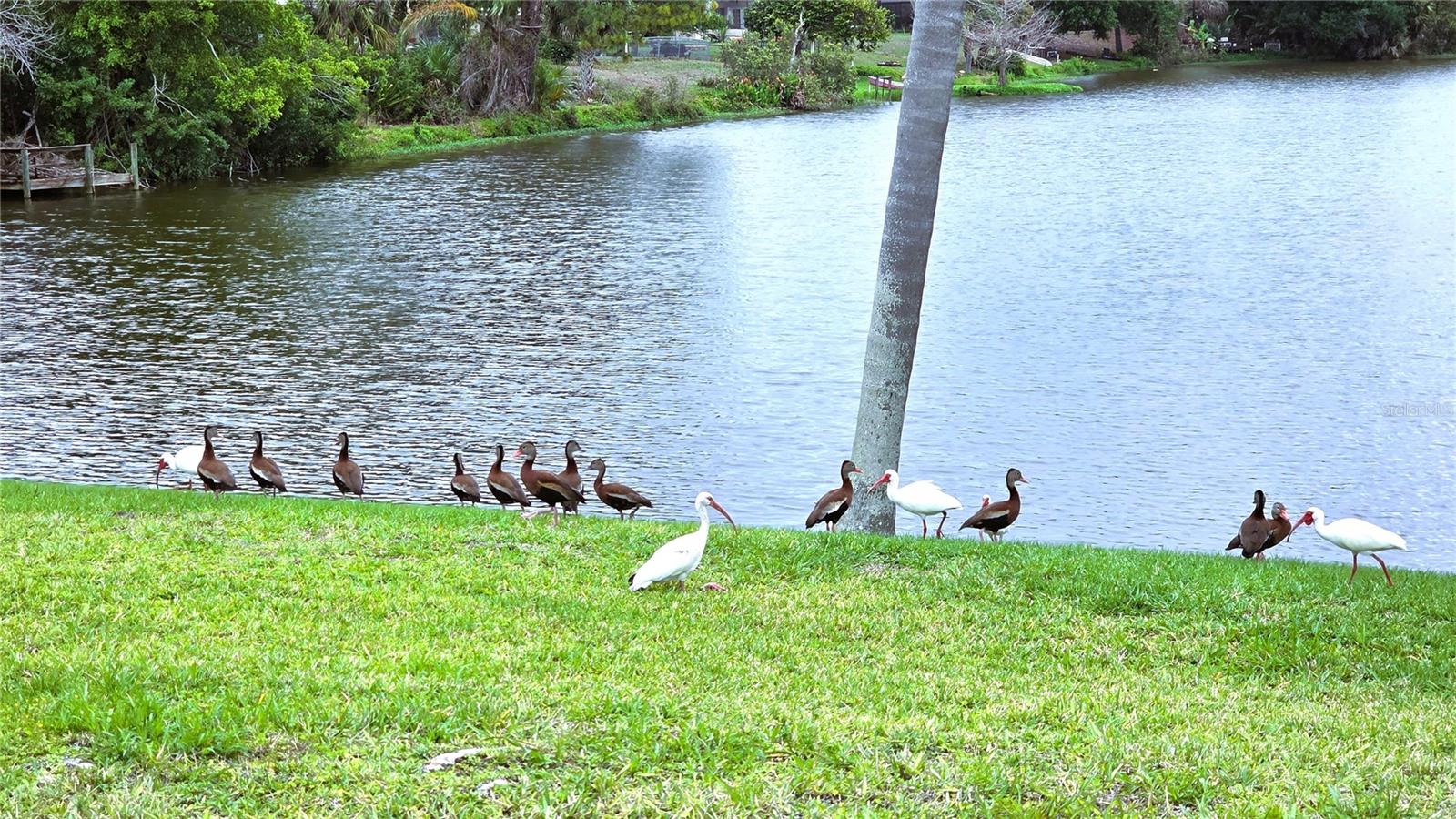 PORT CHARLOTTE SEC 12 - Residential