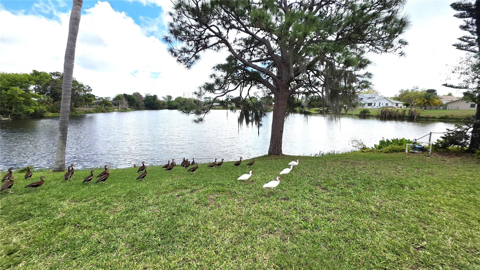 PORT CHARLOTTE SEC 12 - Residential