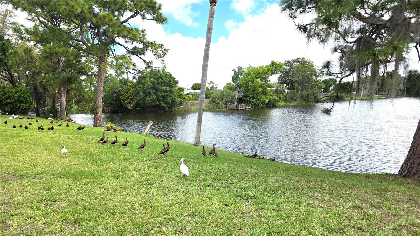 PORT CHARLOTTE SEC 12 - Residential