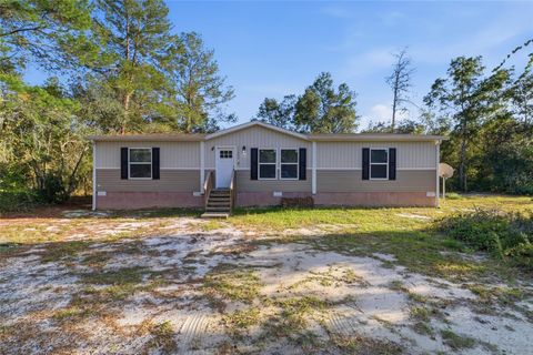 Photo of 25800 Blue Lakes Drive, Paisley, FL 32767 (MLS # O6361535)