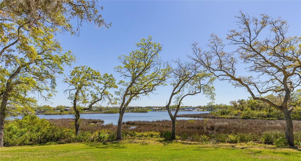 Photo of 8910 Eagle Watch Drive, Riverview, FL 33578 (MLS # TB8471280)