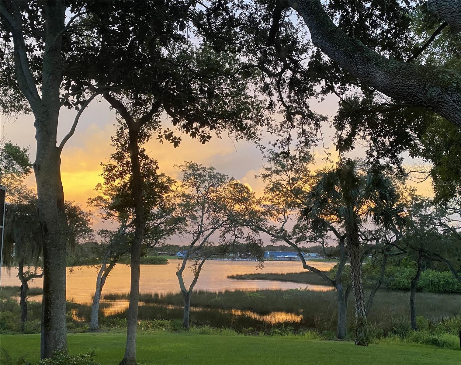 EAGLE WATCH - Residential