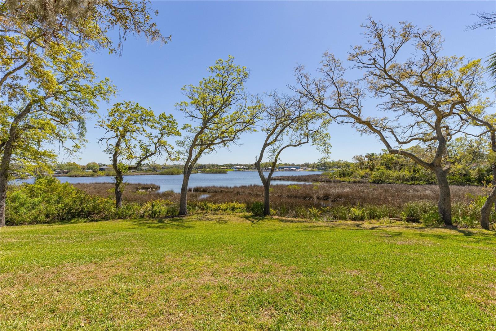 EAGLE WATCH - Residential