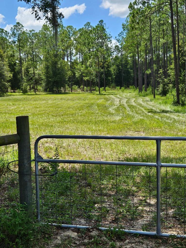 Photo of 18505 Holloway Lane, Dade City, FL 33523 (MLS # TB8544576)