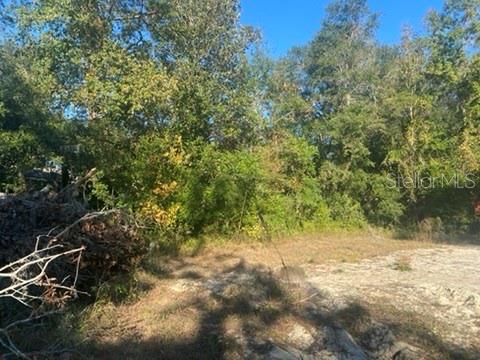 KRIPPNERS SUB - Land