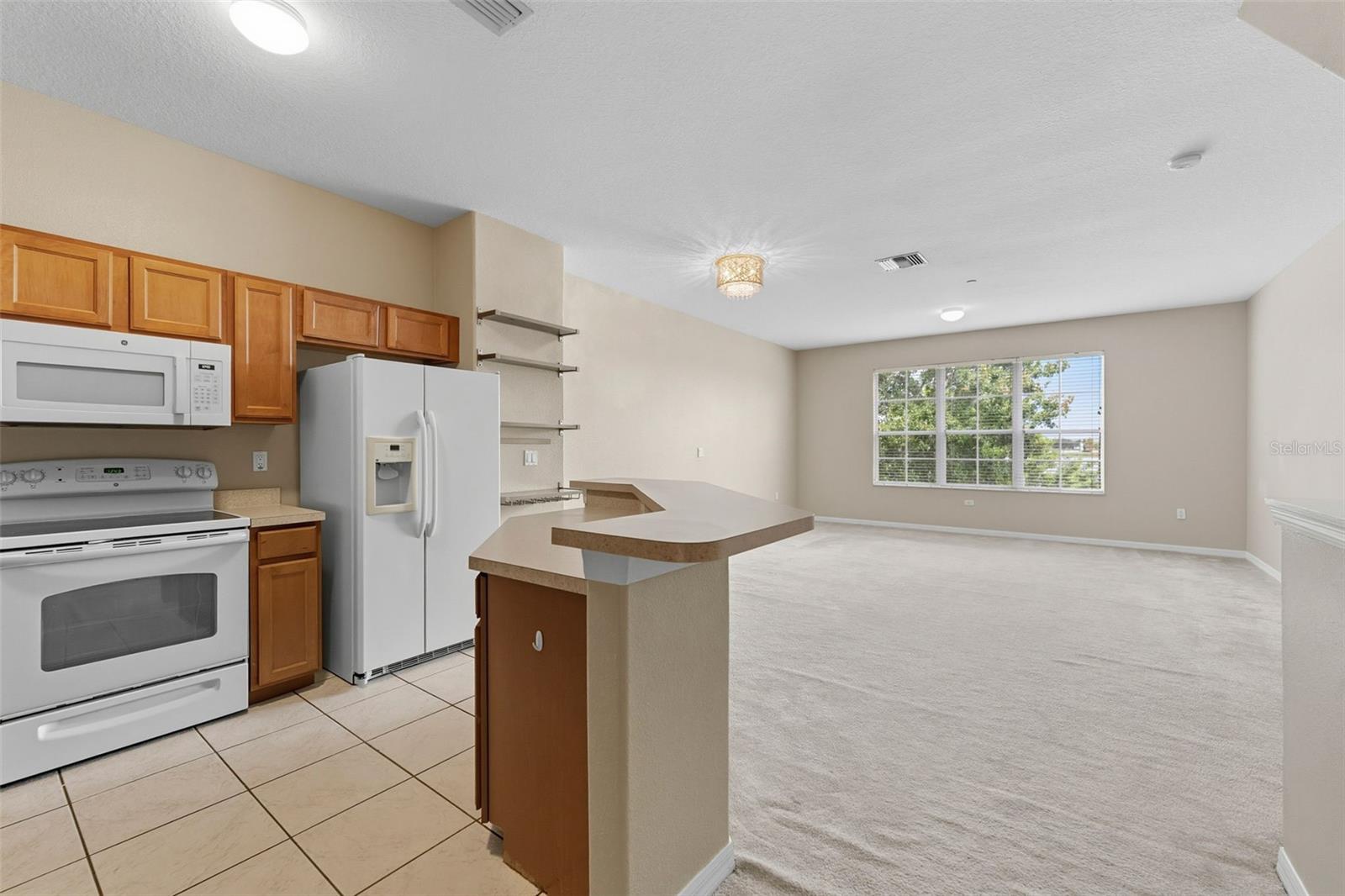 LAKE BRANDON PRCL 113 - Residential Lease