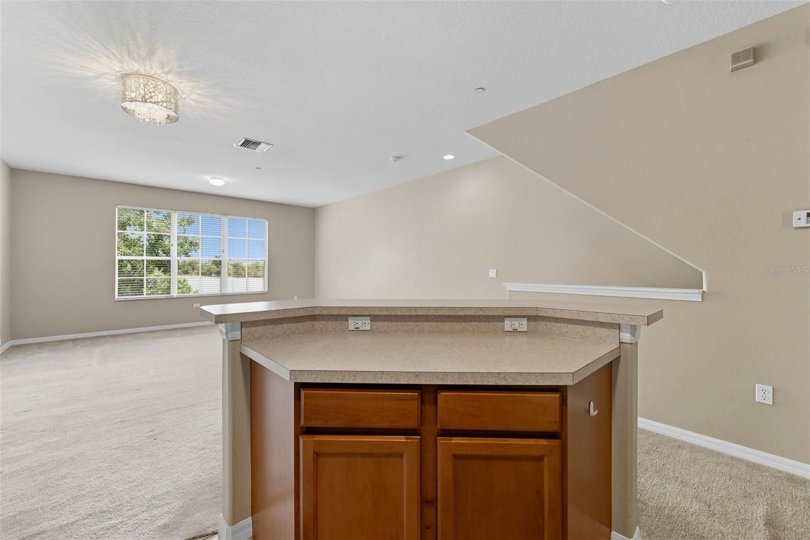 LAKE BRANDON PRCL 113 - Residential Lease