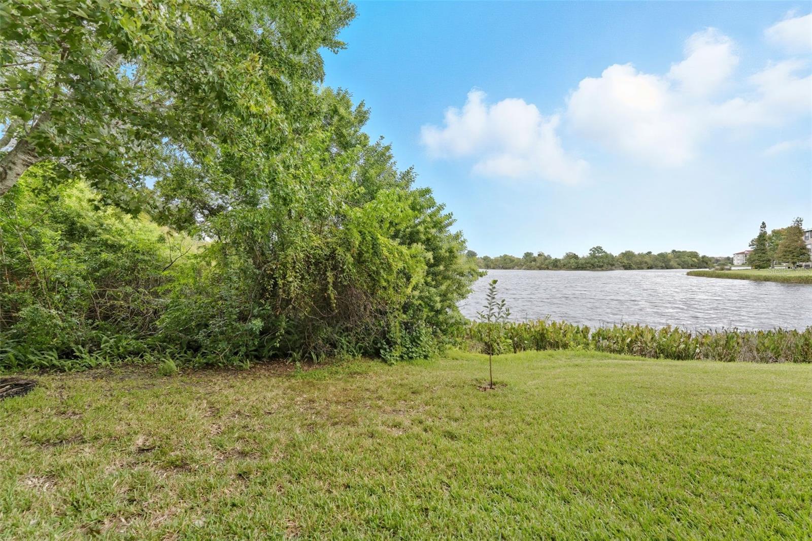 LAKE BRANDON PRCL 113 - Residential Lease