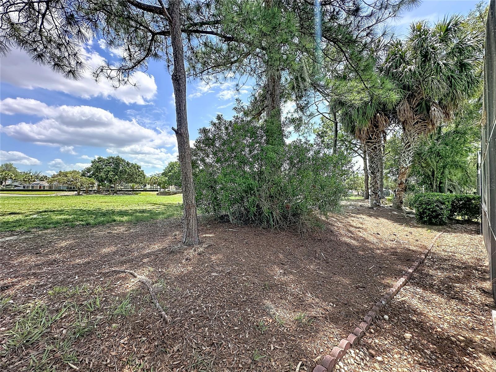 CARIBBEAN COVE - Residential