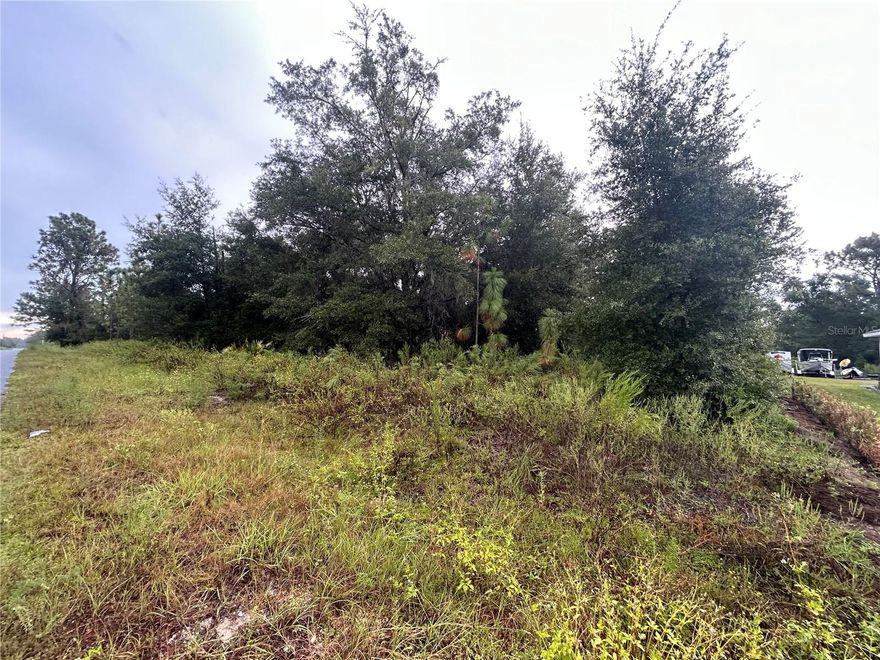Buy the high ground and build your dream home on this nearly ½ acre lot Rainbow Park Ocala FL. Lot is high and dry, no flood insurance required and is located on a street paved street.  Located just a few miles from the Ocala World Equestrian Center, and minutes from Rainbow Springs State Park. You will be just a short drive to the Gulf and great areas for swimming, hiking, biking, boating, and fishing.  This lot is located by both Ocala and Dunnellon providing convenient access to shopping, dining, entertainment, medical services and hospitals.  This double lot is perfect for you to build your dream home. Come join your neighbors, build your dream home and begin to enjoy life.