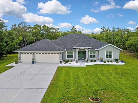 Photo of 14108 Mulkerin Drive, Weeki Wachee, FL 34614 (MLS # W7885560)