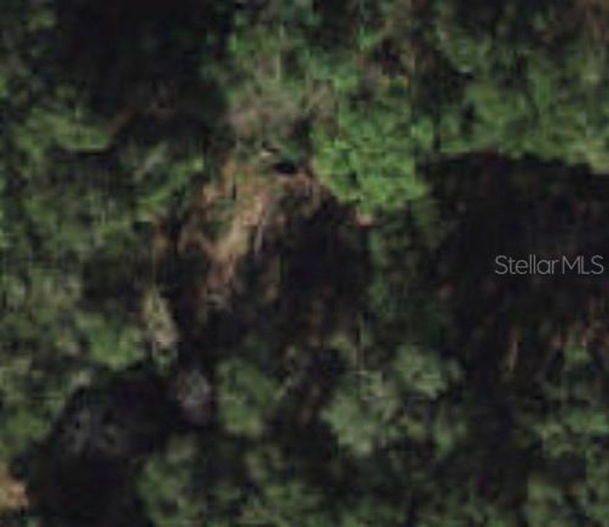 Beautiful lot to build your dream home that's not in flood zone and close to everything.