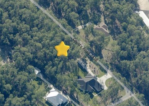 Tiny photo for 1950 Cr 243b, Wildwood, FL 34785 (MLS # O6387471)