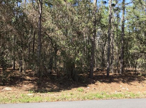 Tiny photo for 1950 Cr 243b, Wildwood, FL 34785 (MLS # O6387471)