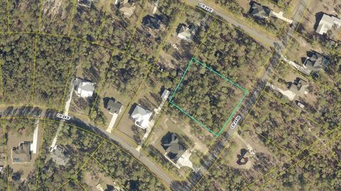 Tiny photo for 1950 Cr 243b, Wildwood, FL 34785 (MLS # O6387471)