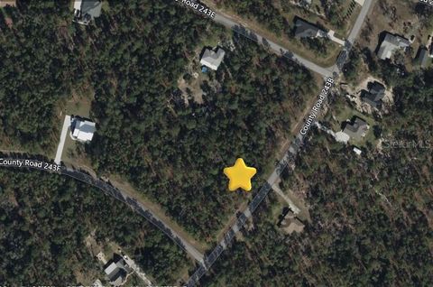 Tiny photo for 1950 Cr 243b, Wildwood, FL 34785 (MLS # O6387471)