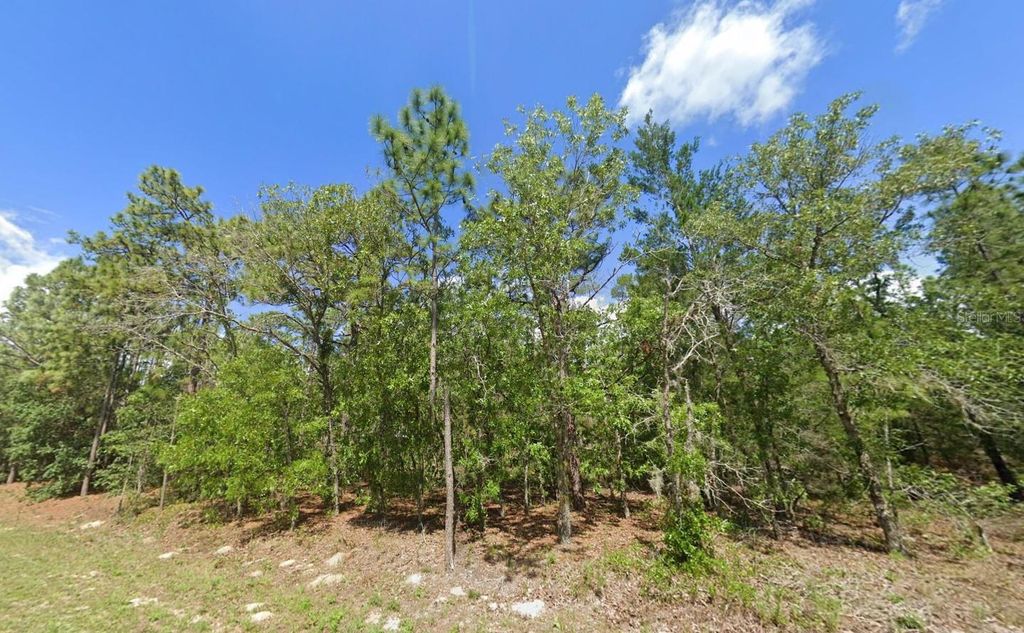 Photo of 1950 Cr 243b, Wildwood, FL 34785 (MLS # O6387471)