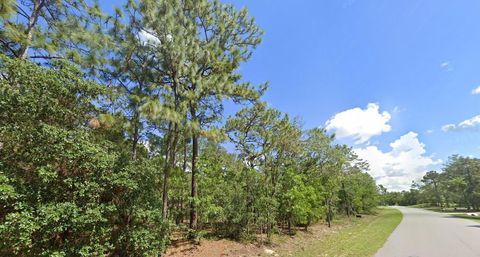 Tiny photo for 1950 Cr 243b, Wildwood, FL 34785 (MLS # O6387471)