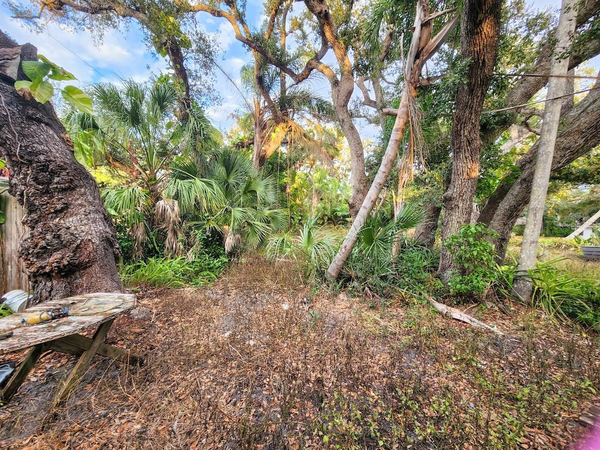 SOUTH VENICE - Residential