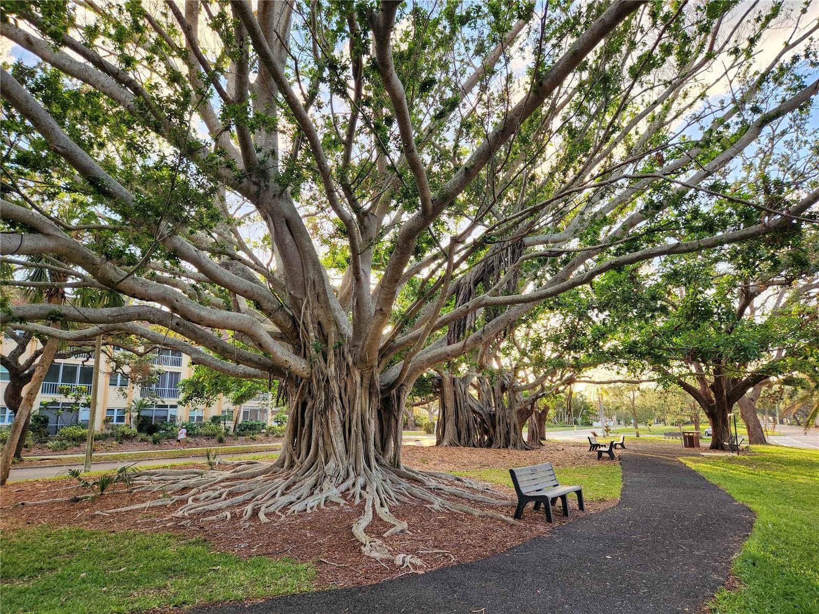 SOUTH VENICE - Residential