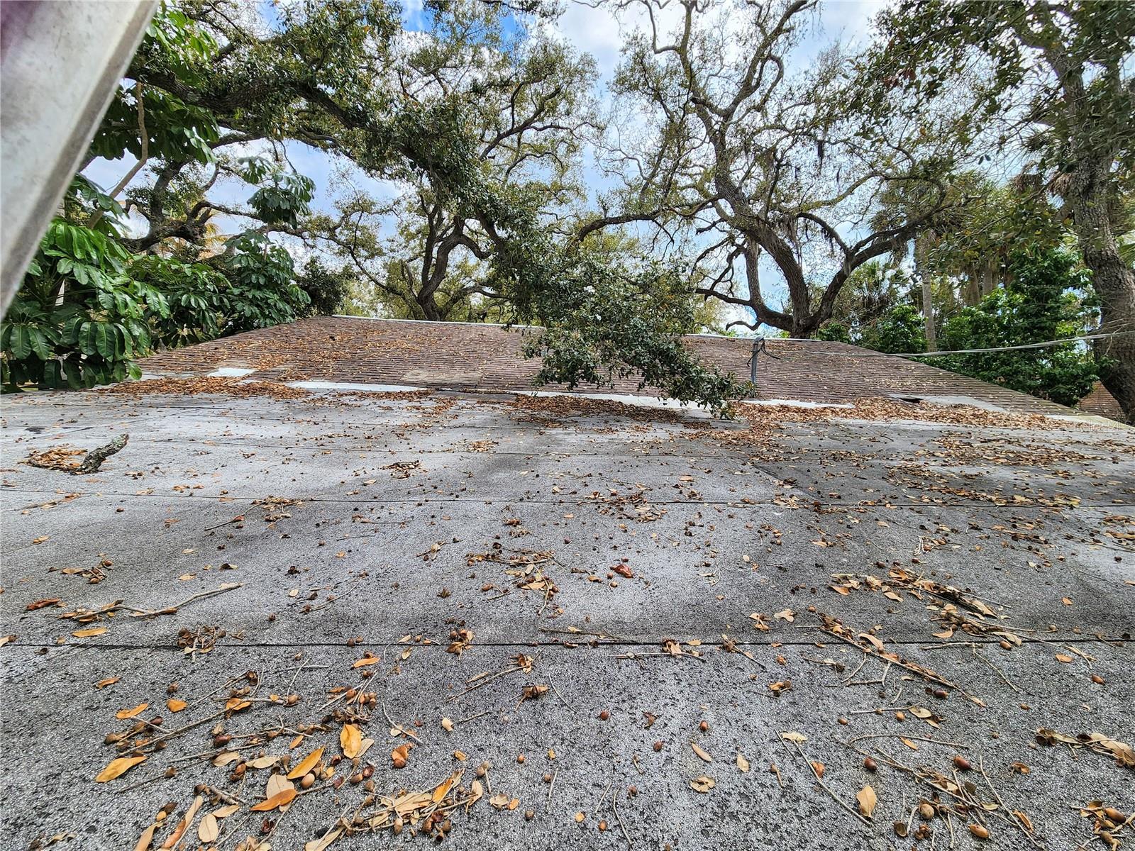 SOUTH VENICE - Residential