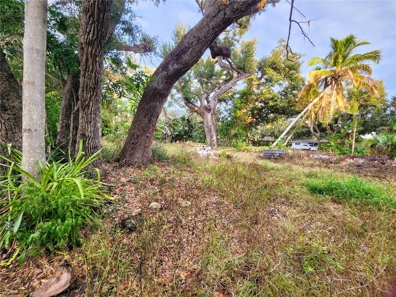 SOUTH VENICE - Residential