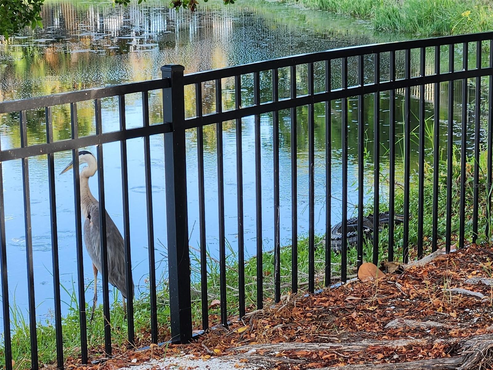 SOUTH VENICE - Residential