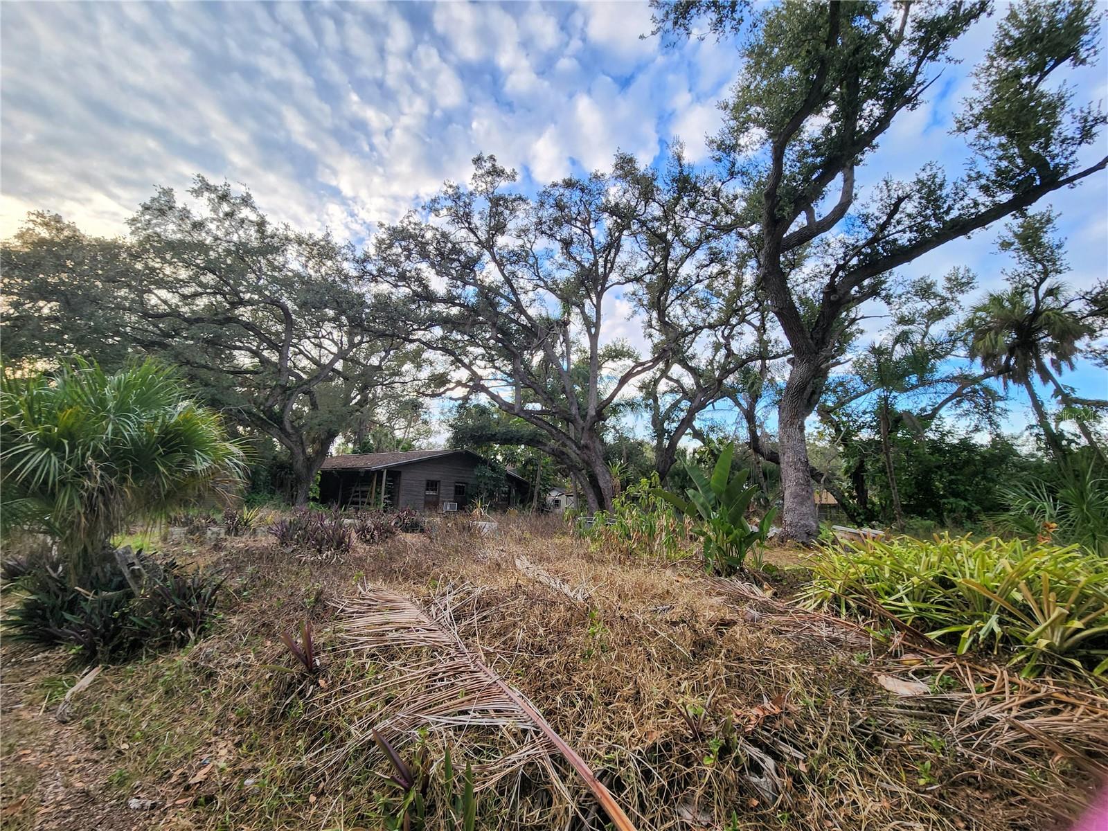 SOUTH VENICE - Residential