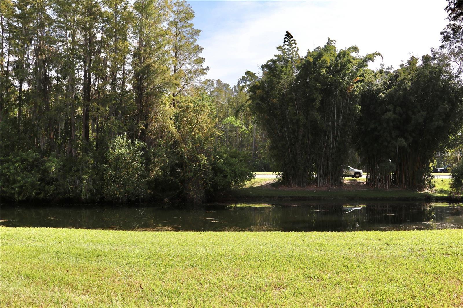 GOLFVIEW AT HUNTERS CREEK PH 01 - Residential