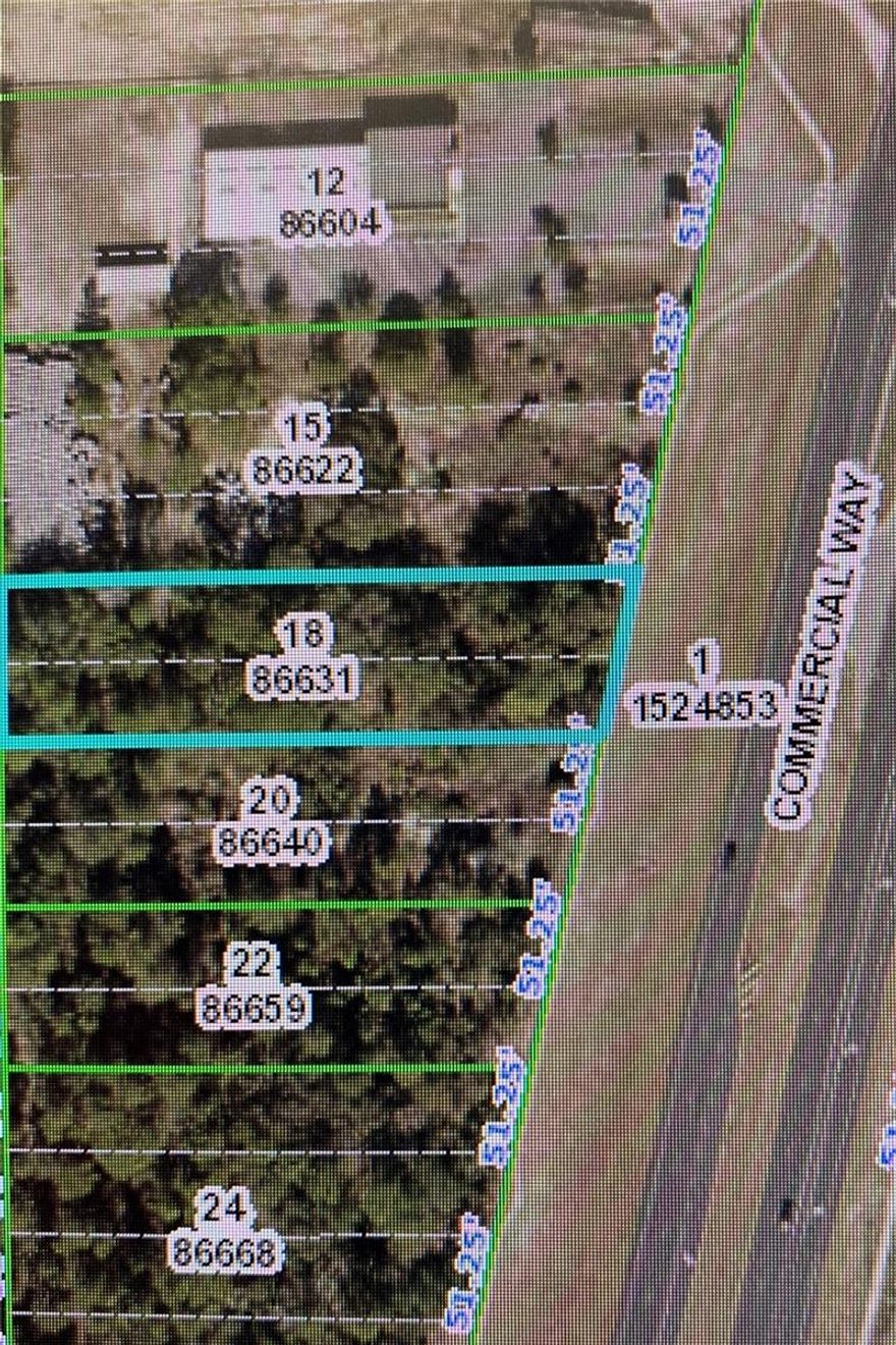 Great property on Commercial Way (US Hwy 19) just south of Long Lake. Great opportunity for Residential or Commercial. Future growth area makes this appealing.