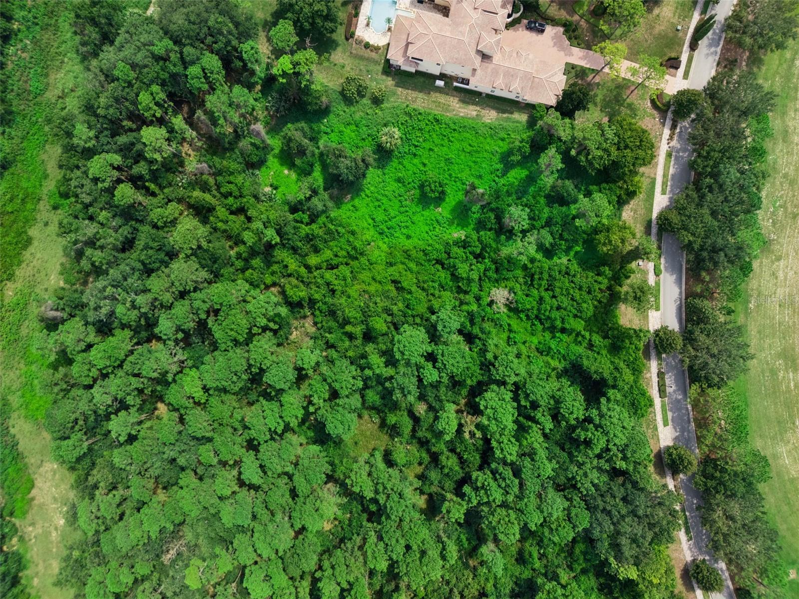 17135 ETRUSCAN LANE