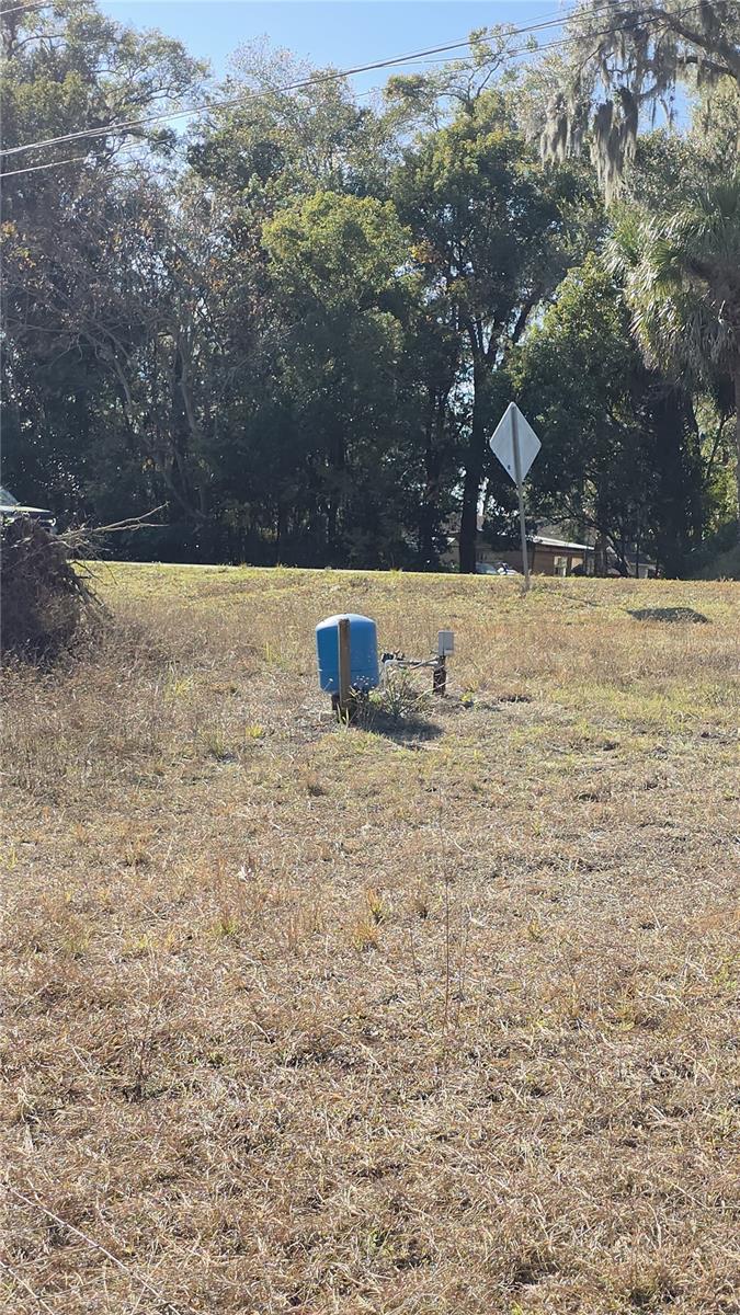 31060 LOCHMORE CIRCLE