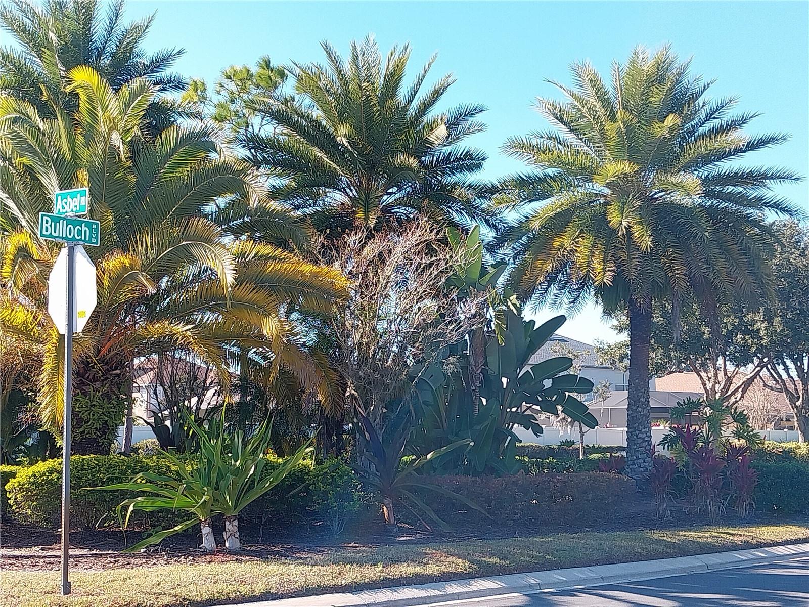 ASBEL CREEK - Residential