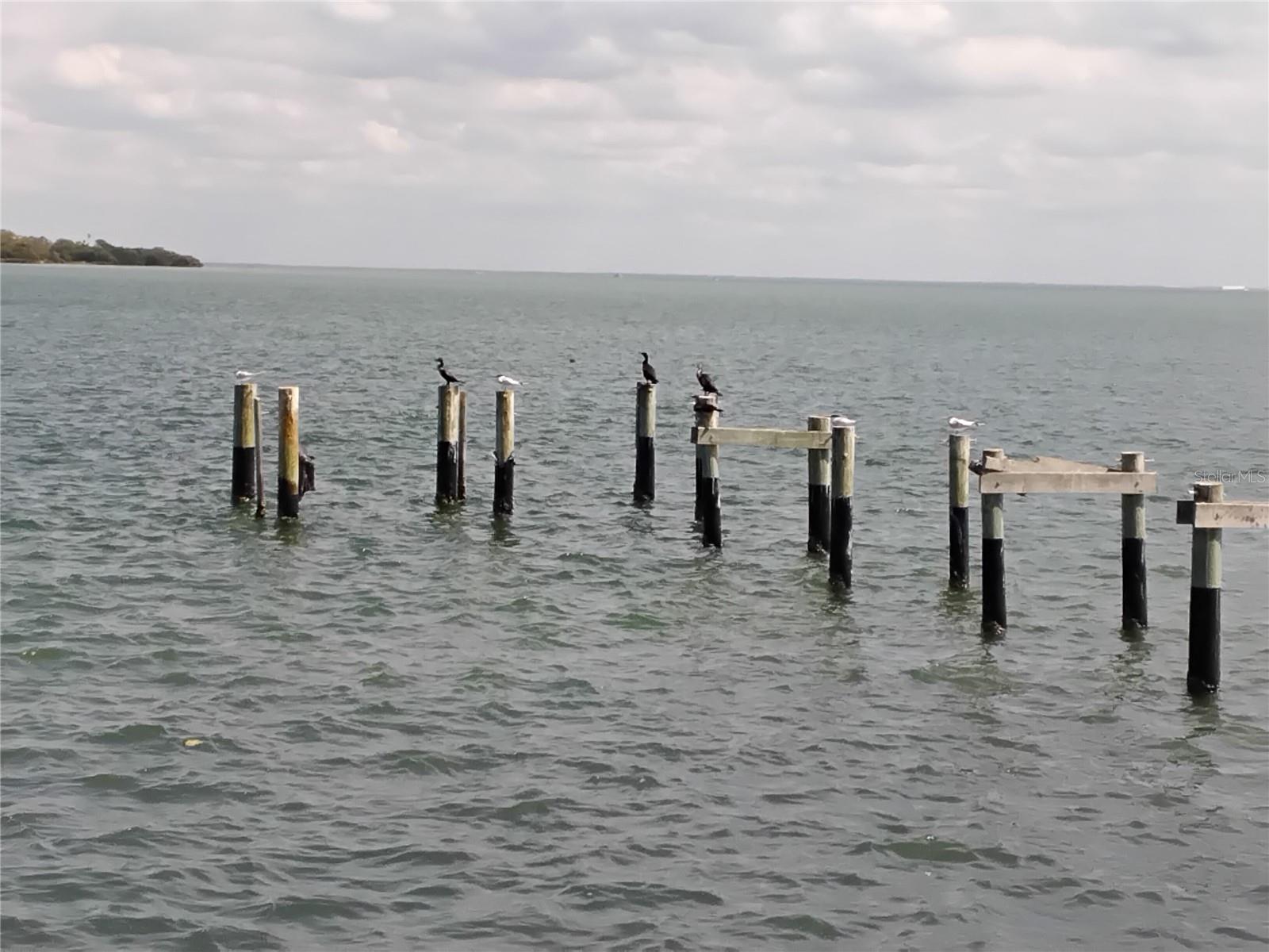 BRIDGETON NORTH CONDO - Residential