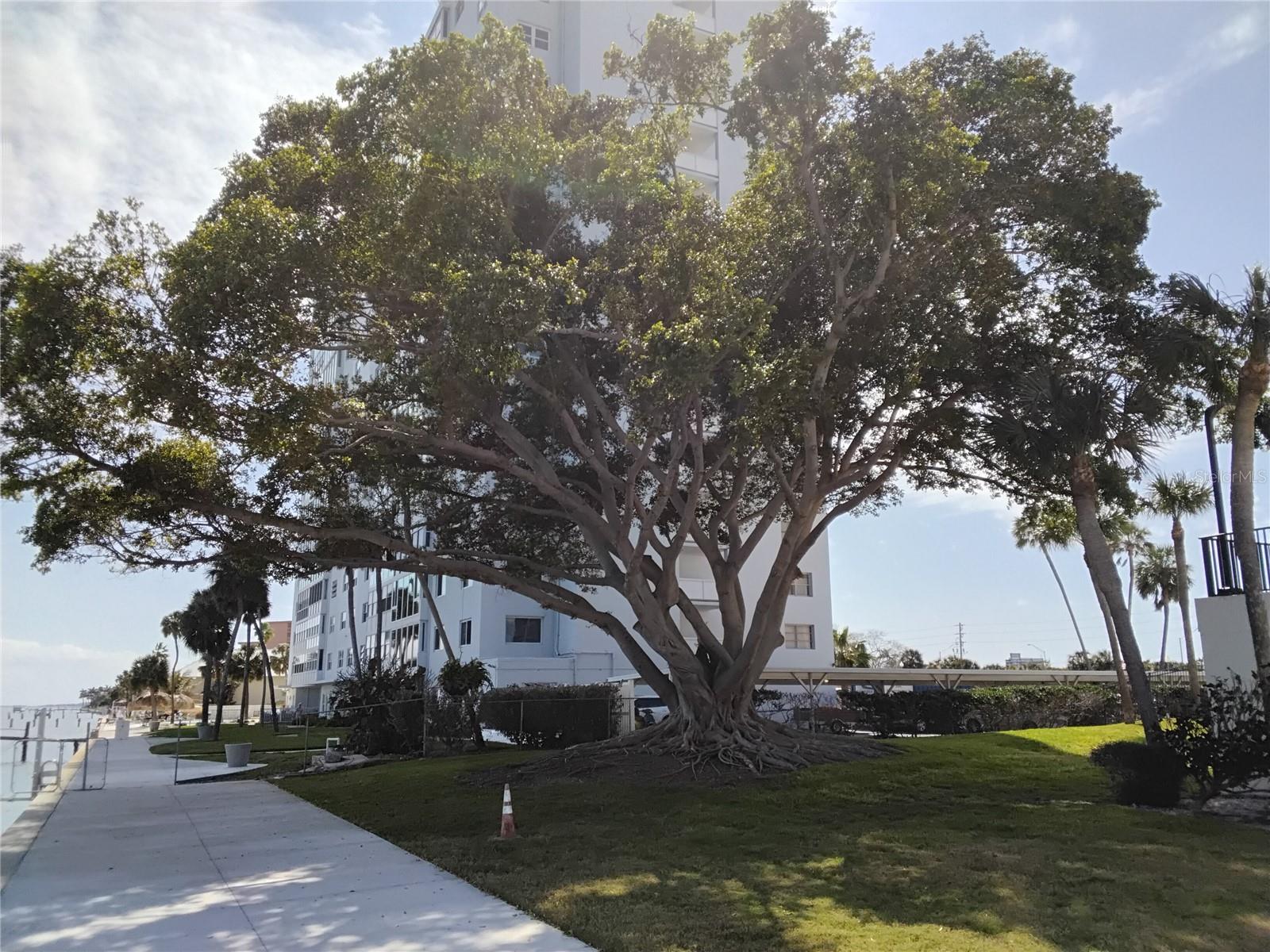 BRIDGETON NORTH CONDO - Residential