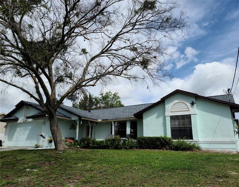 A home in DELTONA